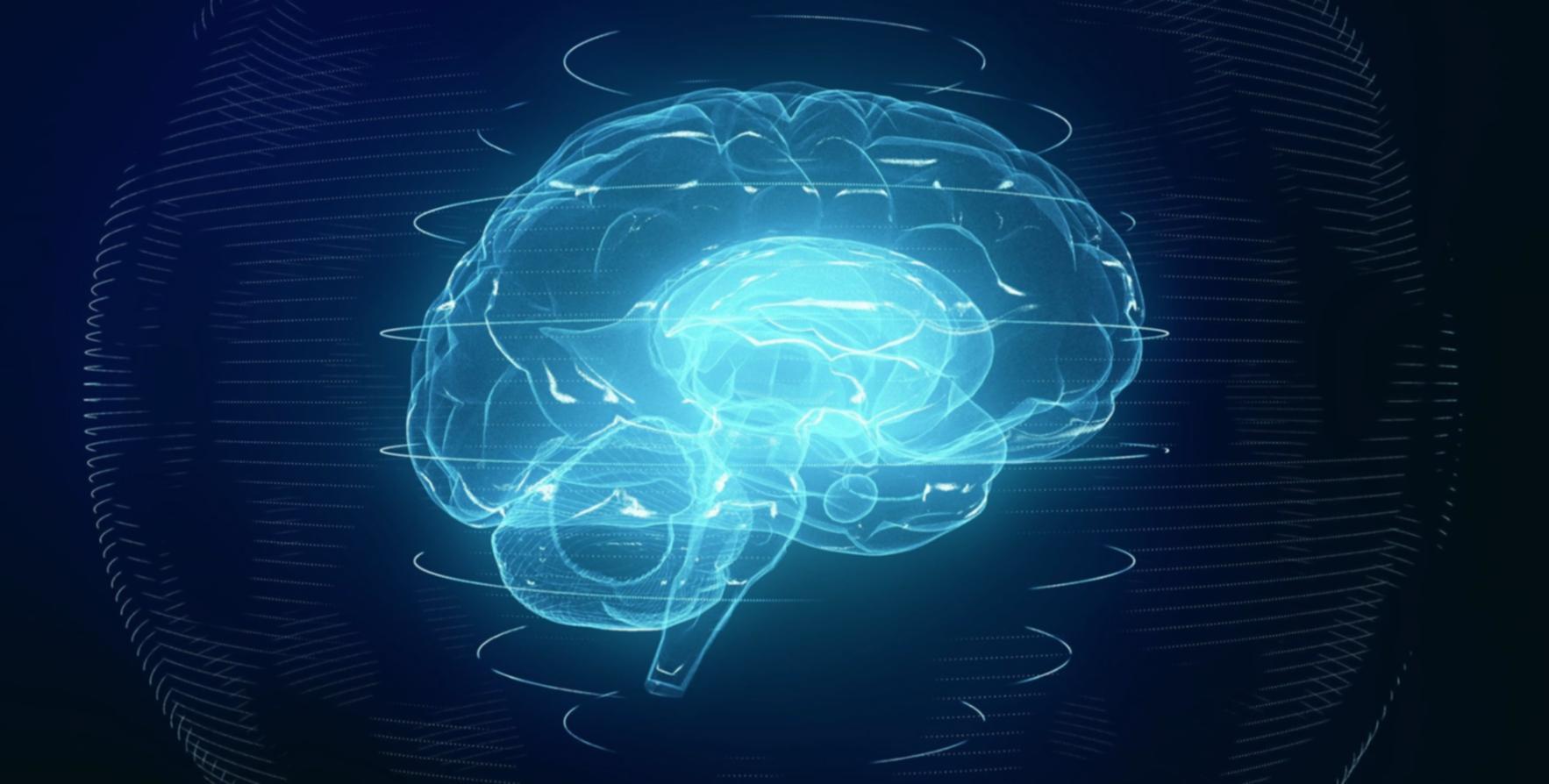 Équipe collaborative travaillant ensemble